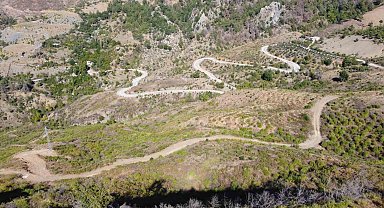 Adana'da yanan orman ve bahçeler devlet desteği ile yeniden yeşerdi