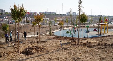 Adıyaman Millet Bahçesi ağaçlandırılıyor