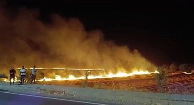 Adıyaman'da korkutan anız yangını