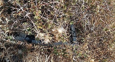 Afganistan uyruklu çobanın cinayet şüphelisi yakalandı