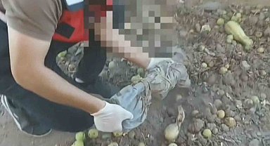 Ağaç altından gömülü tüfekler, baza altından tabanca ve uyuşturucular çıktı