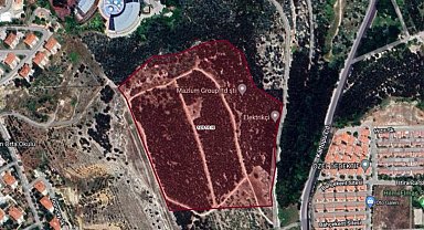 Ağaç katliamı iddialarıyla ilgili açıklama