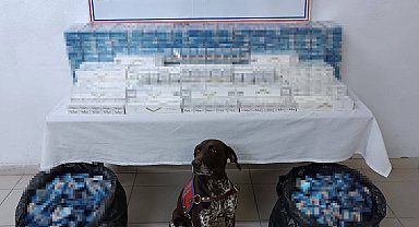 Ağrı'da 3 tırda kaçak akaryakıt ve sigara ele geçirildi