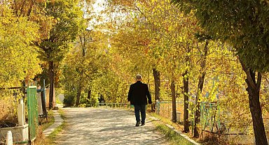 Ağrı'da sonbahar güzelliği hayran bırakıyor