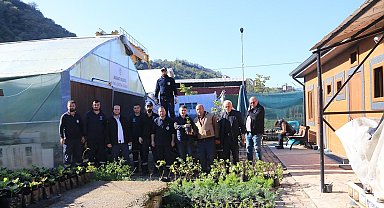 Akçaabat'ta Aronya fideleri çiftçilere dağıtıldı