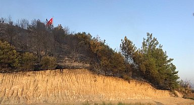 Aksu'da çıkan orman yangını söndürüldü
