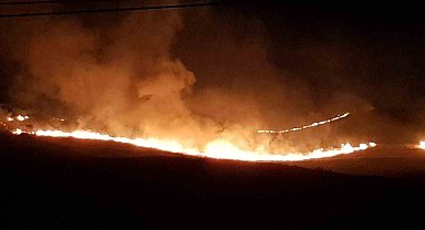 Alaca'da anız yangını