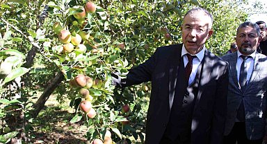 Amasya Valiliği elma için özel projeler planlayacak