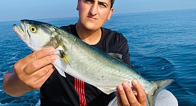 Amatör balıkçının oltasına 1 kiloluk kofana balığı takıldı