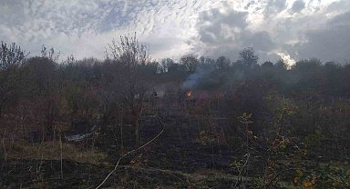 Anız yangını ormana sıçramadan söndürüldü