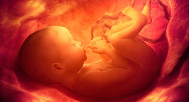 Anne karnındaki bebeğin gelişim anomalilerini saptayacak tarama testi projesine destek