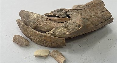 Apemia Antik Kentinde büyük bir kedi türüne ait çene kemiği bulundu