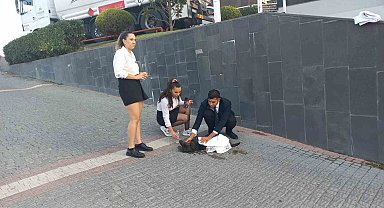 Araba çarpan yavru köpek için herkes seferber oldu