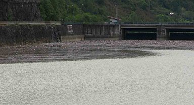 Artvin'de sel suları Muratlı Baraj gölünü çöplüğe döndürdü
