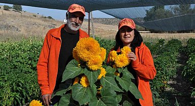 Ata tohumu ile sağlıksız gıda üretimine savaş açtılar