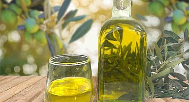 Aydın Memecik Zeytinyağı, Avrupa Birliği'nde ilan edildi