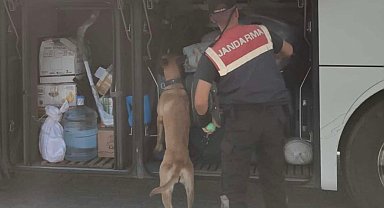 Aydın'da jandarma ekipleri düzensiz göçe geçit vermiyor