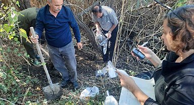 Aydın'da yaban hayvanı alanı incelendi