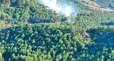 Ayvacık'taki orman yangını kontrol altına alındı