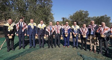 Ayvalık 18. Uluslararası Zeytin Hasat Festivali başlıyor