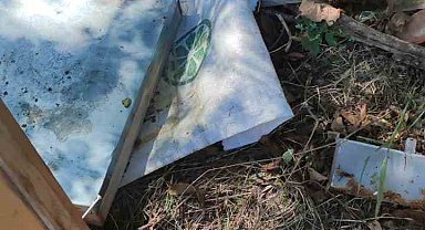 Bahçeye giren ayılar arı kovanlarına ve çevreye zarar verdi