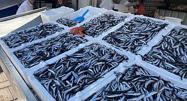 Balık fiyatları arttı, vatandaşlar ilgi göstermedi
