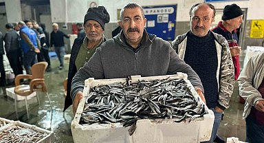 Balık mezadında kasalar dolusu hamsi kapış kapış satıldı