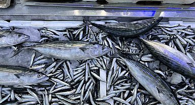Balık tezgahlarında hafta sonu bereketi