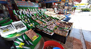 Balık tezgahlarında lüfer bolluğu: fiyatı yarı yarıya düştü