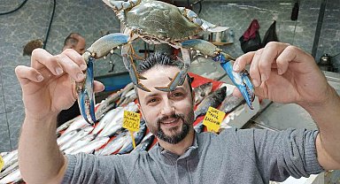 Balıkçıların korkulu rüyası 'mavi yengeç' 1 haftadır Karadeniz'de görülüyor