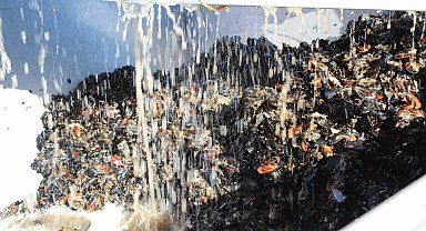 Balıkesir, Türkiye'yi midyeye doyuruyor