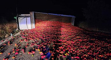 Balıkesir'de biber yüklü kamyon devrildi, 2 kişi yaralandı