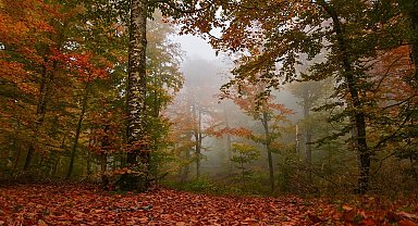 Balıkesir'de temiz hava cari fazlalık verdi