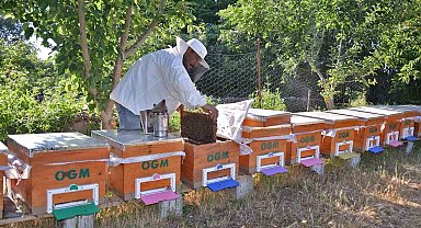 Balıkesir'in Bal şehri olduğu tescillendi