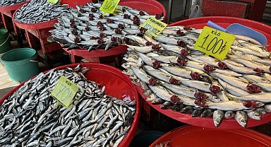 Bandırma'da hamsi bolluğu yaşanıyor