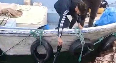 Baraj gölüne düşen telefonu için dalgıç tuttu