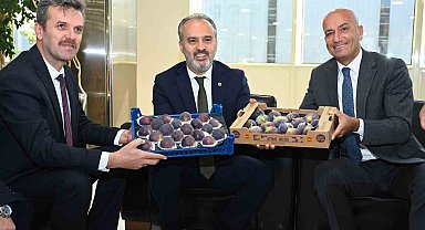 Başkan Aktaş: "Tarım ihracatında milyar dolarları konuşmalıyız"