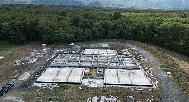 Başkan Doğan: "Sokak hayvanları için geçici bakım merkezi yapıyoruz"