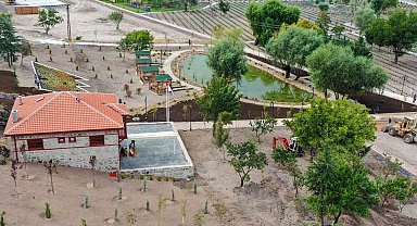 Başkentin en otantik nilüfer havuzu Keçiören'de