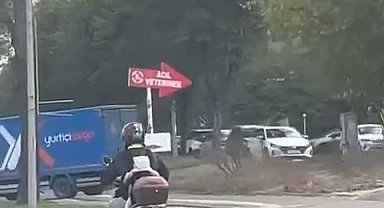 Bebeğinin hayatını hiçe saydı...Kilometrelerce ilerledi