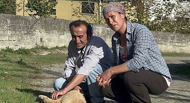 Beslediği köpeği darp edilerek öldürüldü