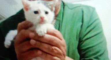 Beylikdüzü'nde kedilere mama vermek isterken kuyuya düşerek öldü