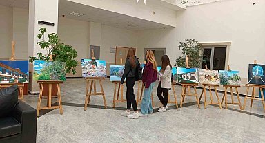 Bilecik İl Kültür ve Turizm Müdürlüğü'nün resim ve fotoğraf sergisi beklenen ilgiyi görmedi