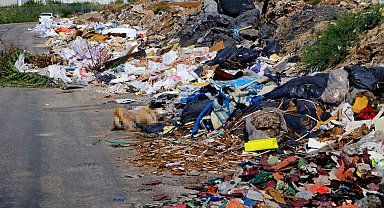 Bilinçsiz vatandaşlar ve işletmelerin attığı çöpler halk sağlığını tehdit ediyor