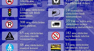 Bingöl'de 2 bin 607 araç sürücüsüne cezai işlem uygulandı
