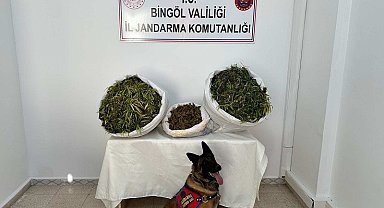 Bingöl'de 36 kilo uyuşturucu maddesi ele geçirildi