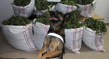 Bingöl'de bir haftada 112 kilo uyuşturucu ele geçirildi