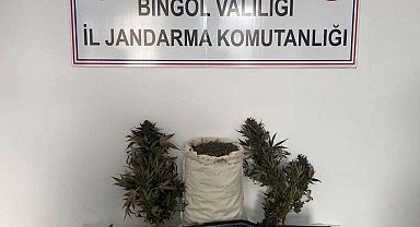 Bingöl'de uyuşturucu operasyonu