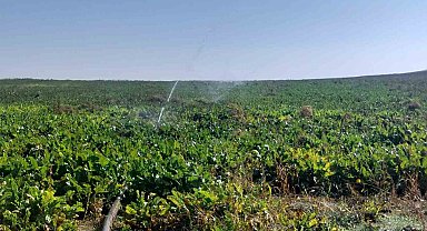 Bireysel sulama hibe desteği ödemeleri tamamlandı