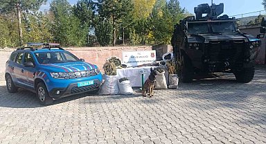 Bitlis'te 28 kilo 560 gram kubar esrar ve 2 kilo 380 gram esrar tohumu ele geçirildi